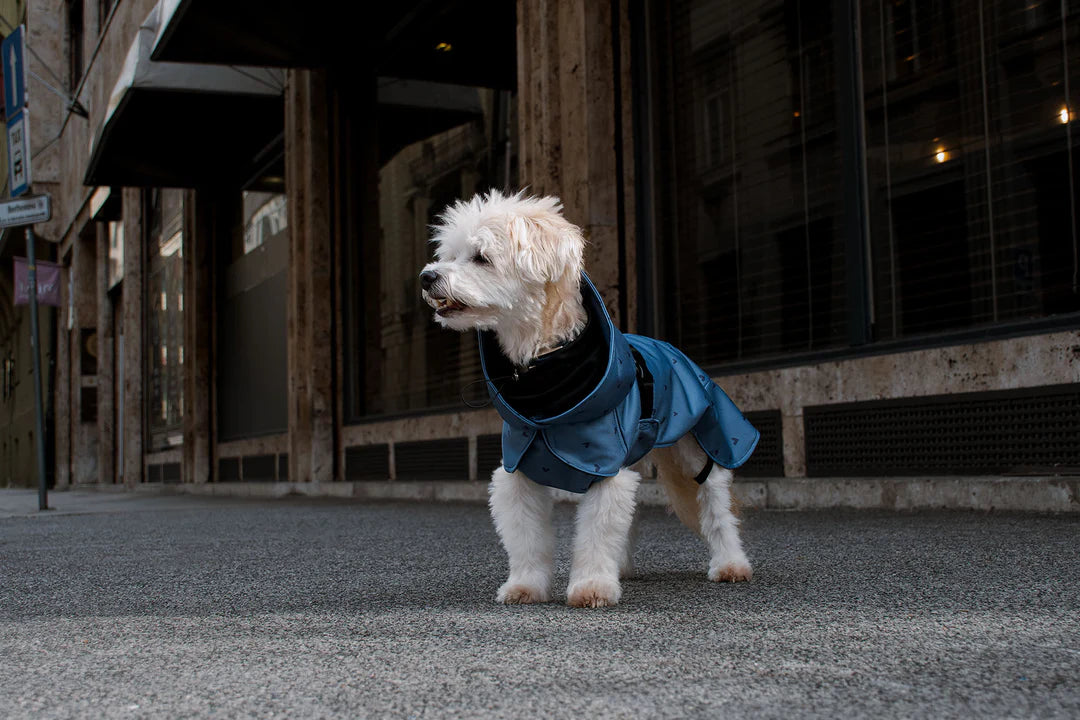 Raincoats