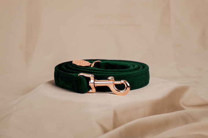 GREEN VELVET LEASH