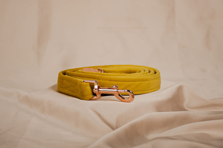 AMBER VELVET LEASH