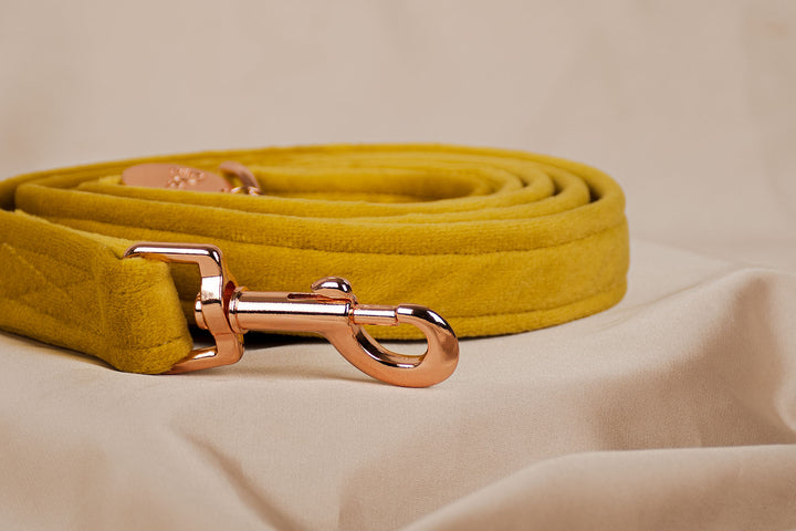 AMBER VELVET LEASH