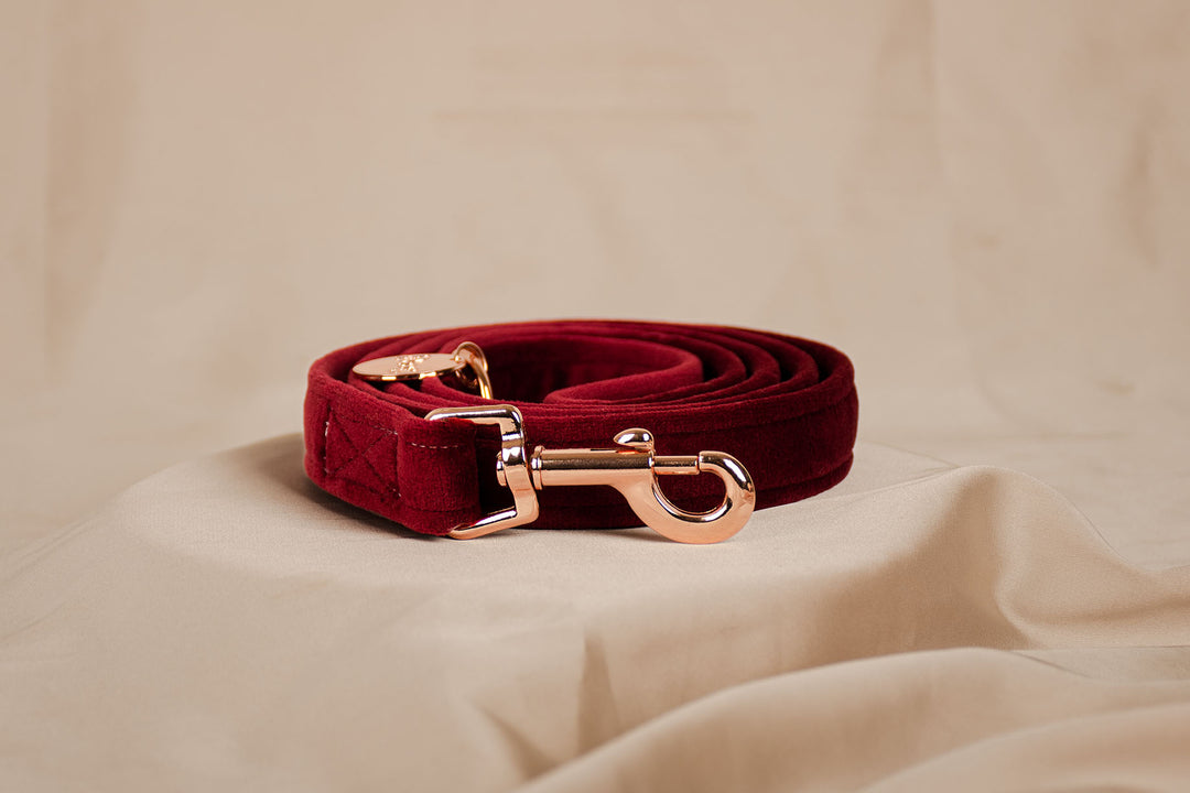 RED VELVET LEASH