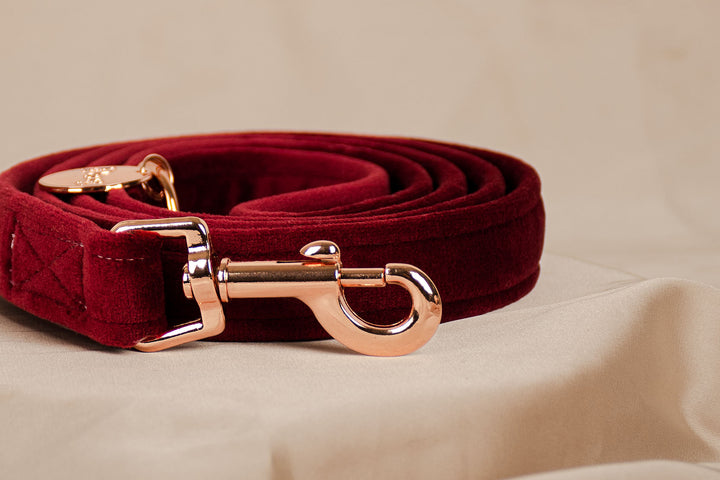 RED VELVET LEASH