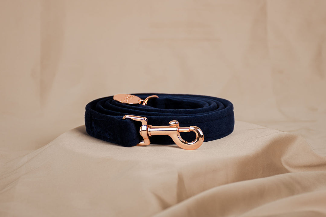 NAVY VELVET LEASH