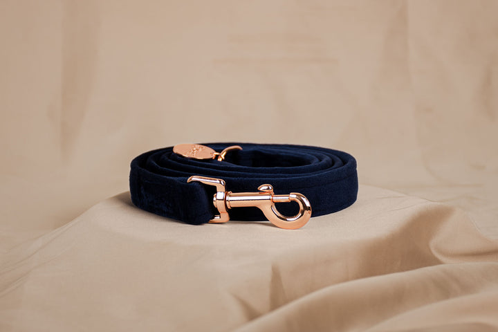 NAVY VELVET LEASH