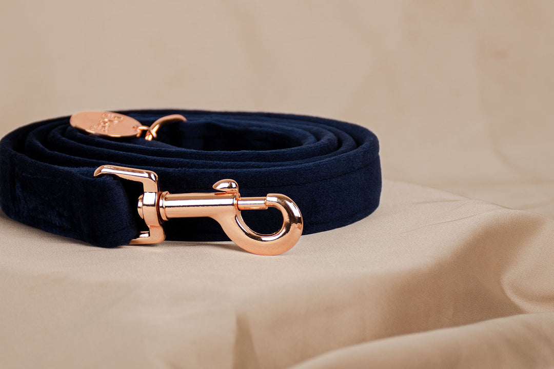NAVY VELVET LEASH