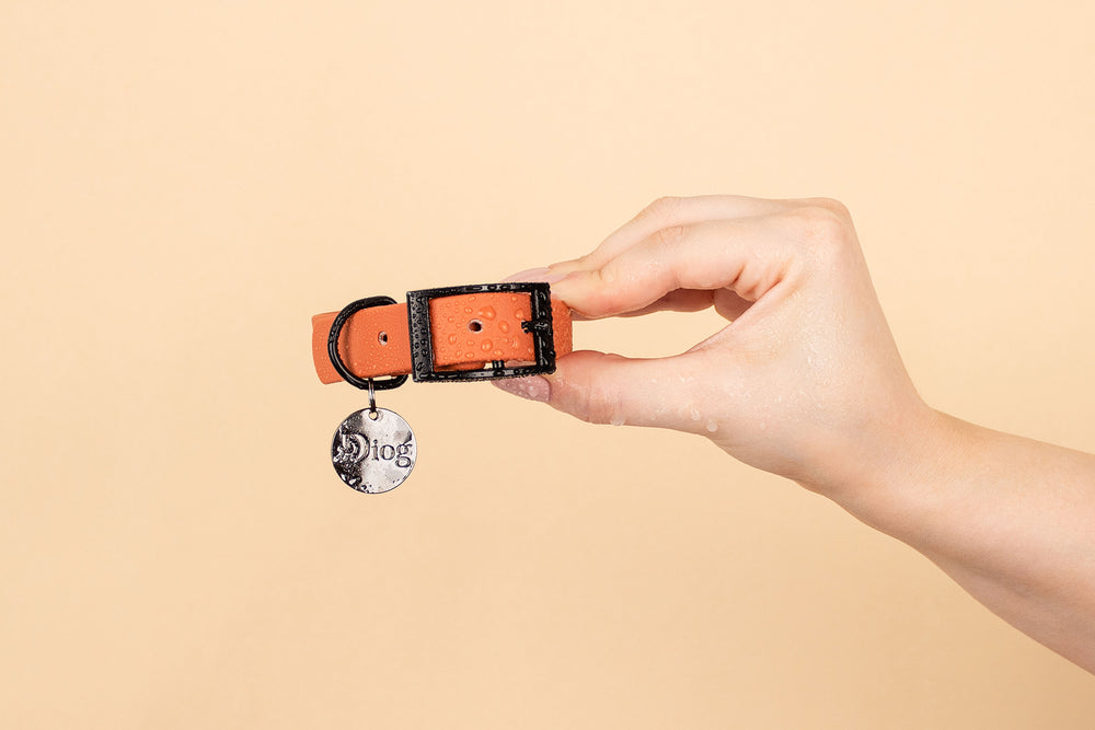 Image of a person holding an orange waterproof dog collar with a black brand tag attached