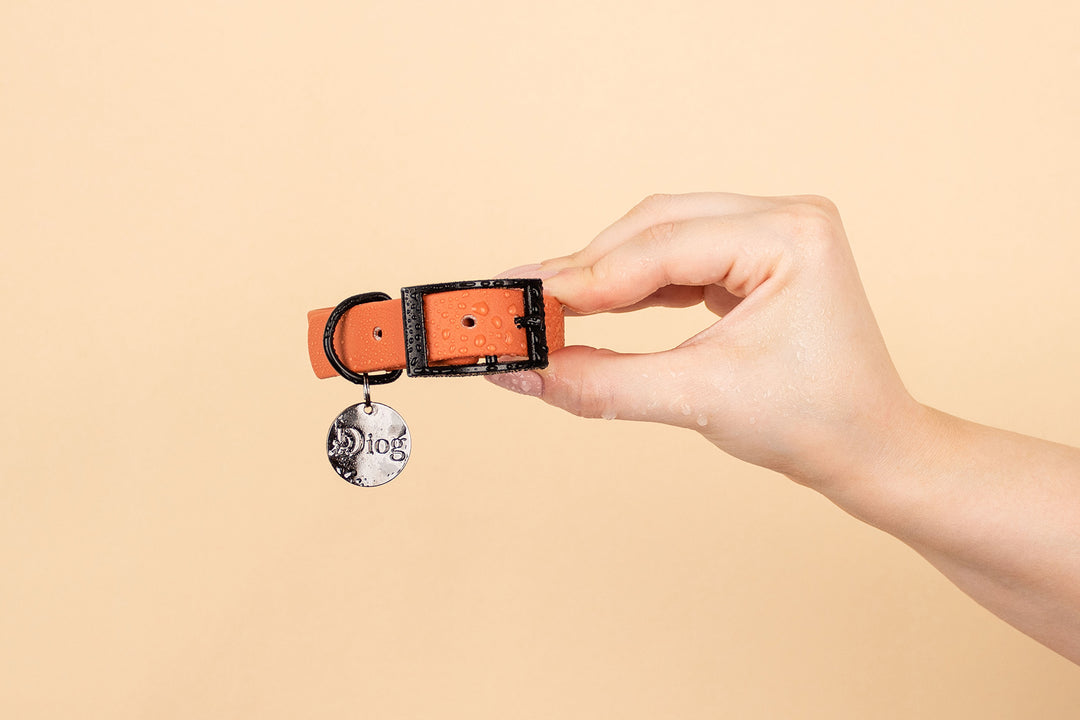 Image of a person holding an orange waterproof dog collar with a black brand tag attached