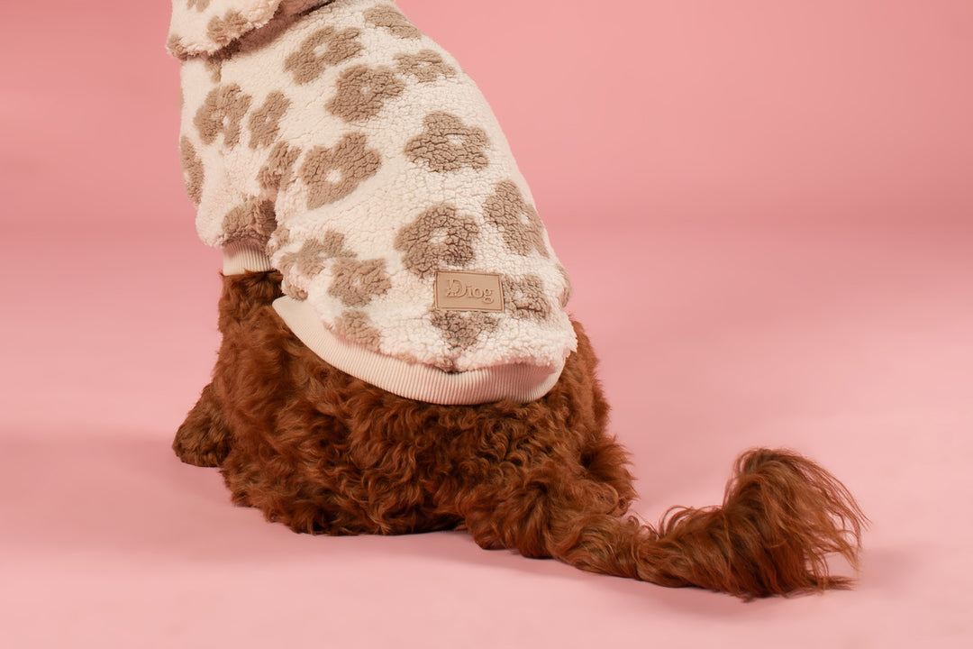 Cream flower teddy sherpa pulover