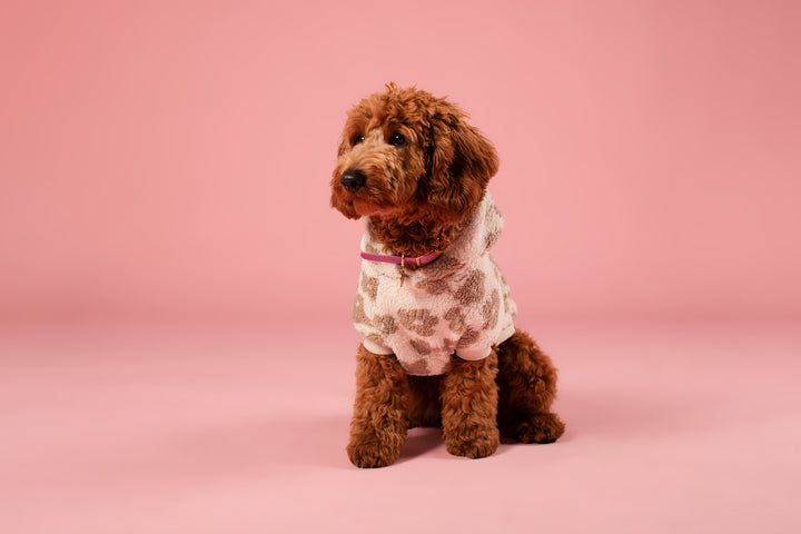 Cream flower teddy sherpa pulover