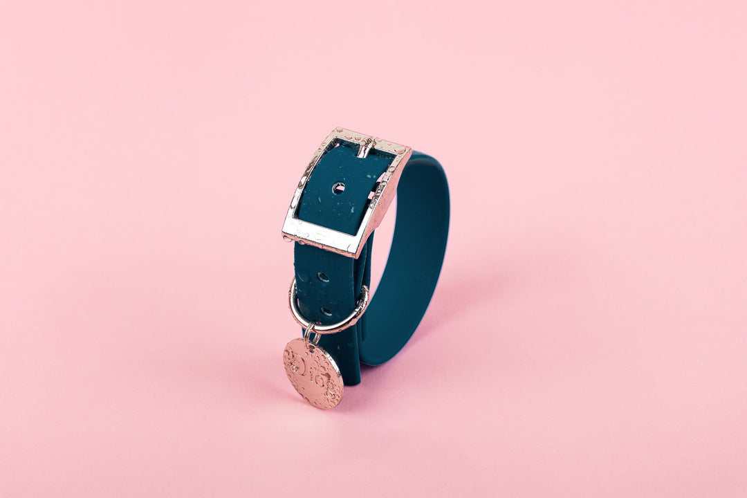 A dark blue waterproof dog collar with a silver buckle.