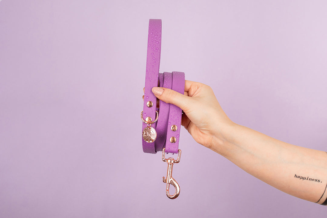 CHLOÉ WATERPROOF LEASH