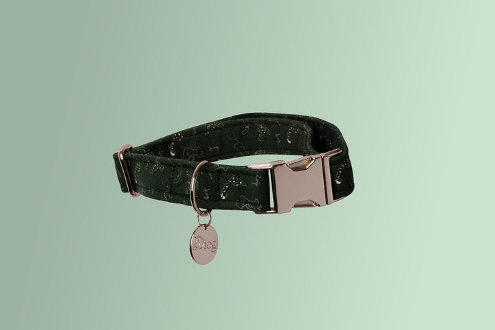 DINO COLLAR