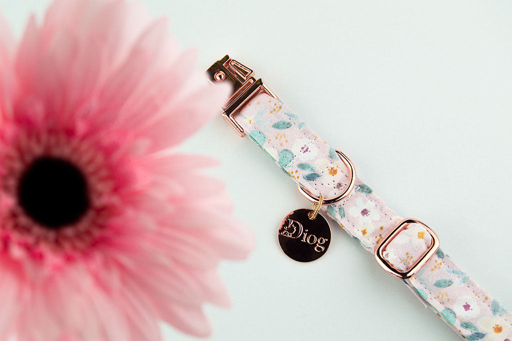 DAISY COLLAR
