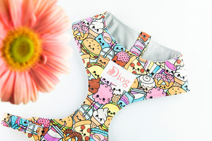 OMG KAWAII CHEST HARNESS