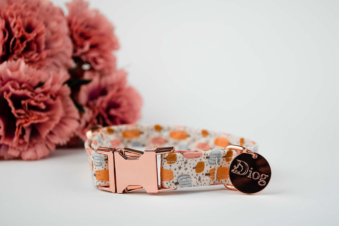 LIL PUMPKIN COLLAR