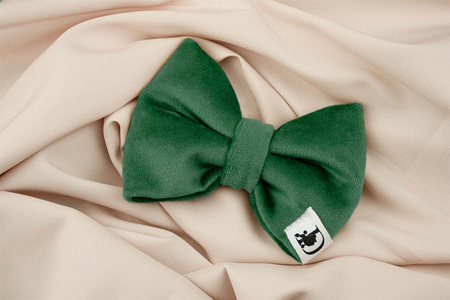 GREEN VELVET BOW TIE