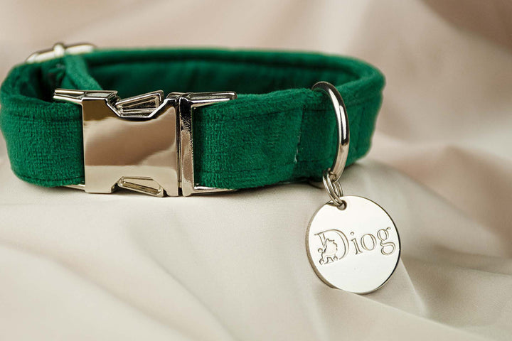 GREEN VELVET COLLAR
