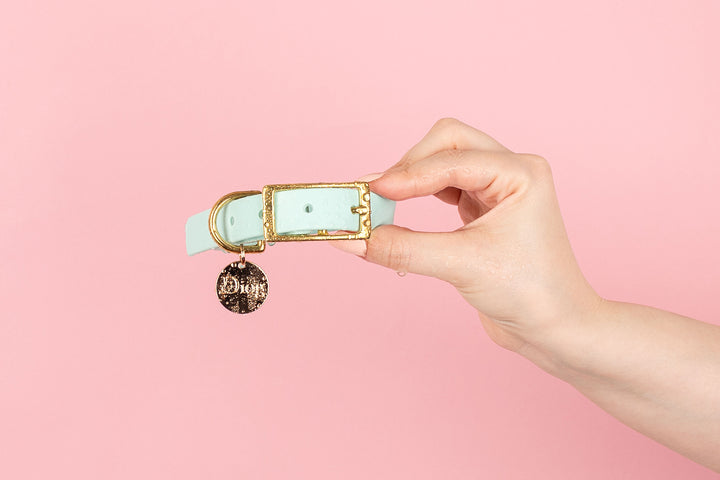 A person holding a light blue dog collar with a gold buckle against a pink background.