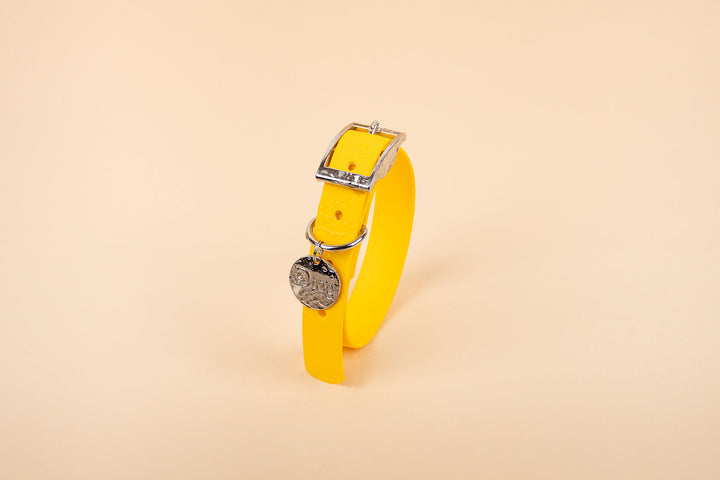 A yellow waterproof dog collar with a silver buckle.