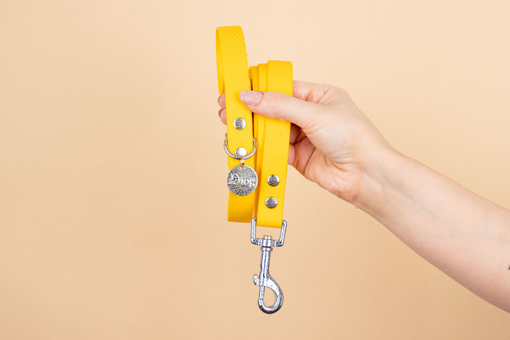 FABIO WATERPROOF LEASH