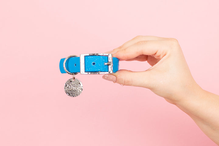 A close-up photo of a person holding a blue dog collar with a silver buckle.