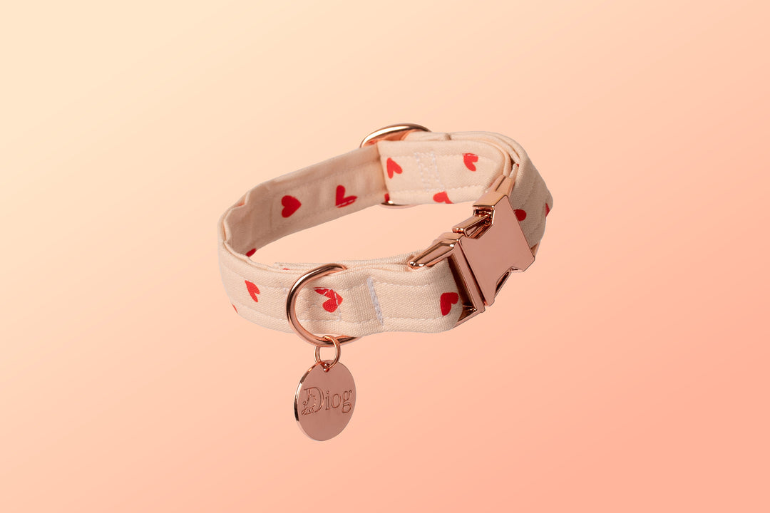 FOR UNCONDITIONAL LOVE COLLAR