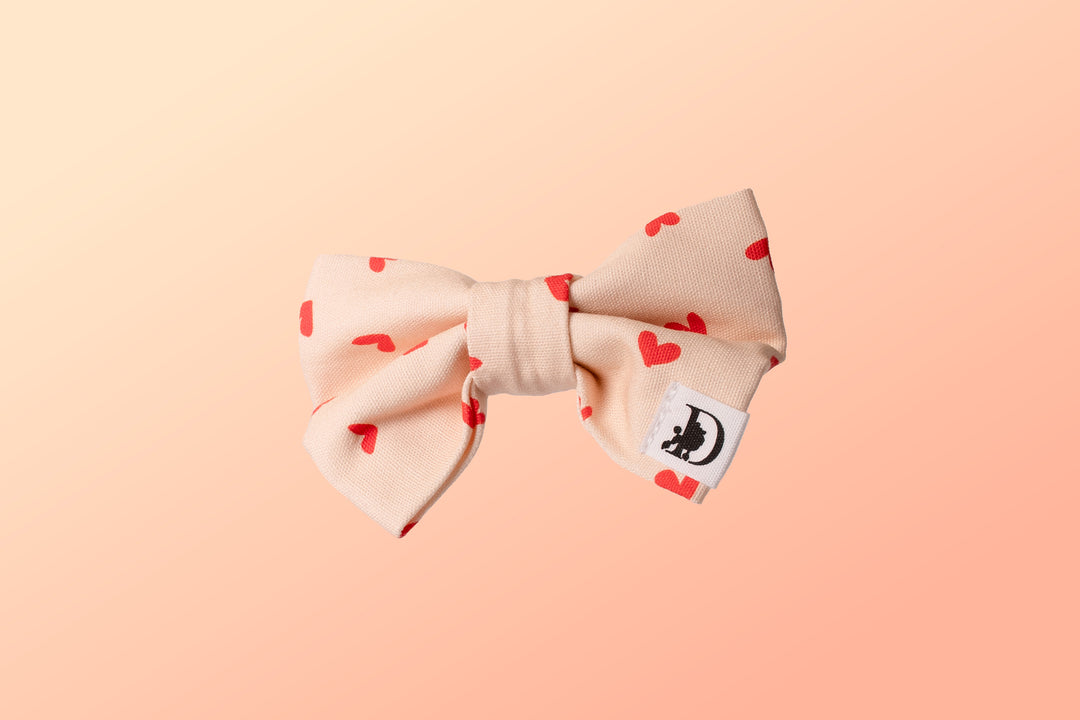 FOR UNCONDITIONAL LOVE BOW TIE