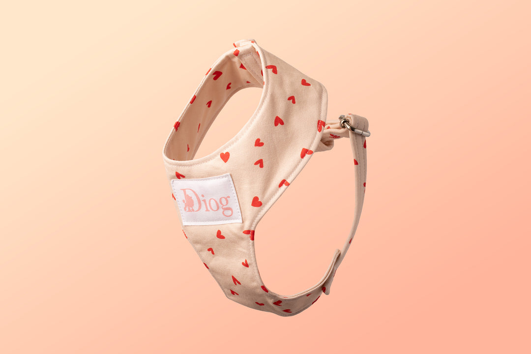 FOR UNCONDITIONAL LOVE CHEST HARNESS
