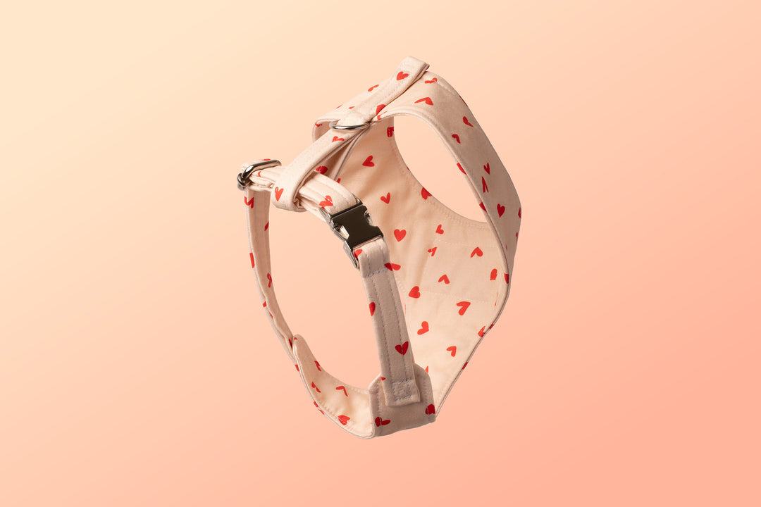 FOR UNCONDITIONAL LOVE CHEST HARNESS