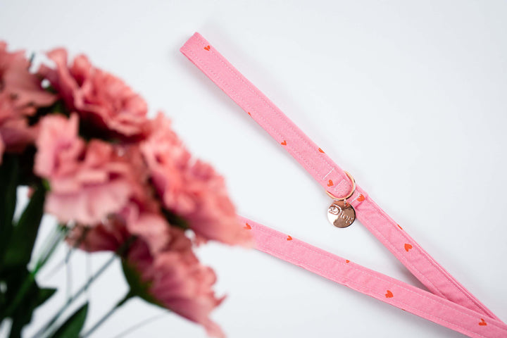 HEART PUNCH LEASH