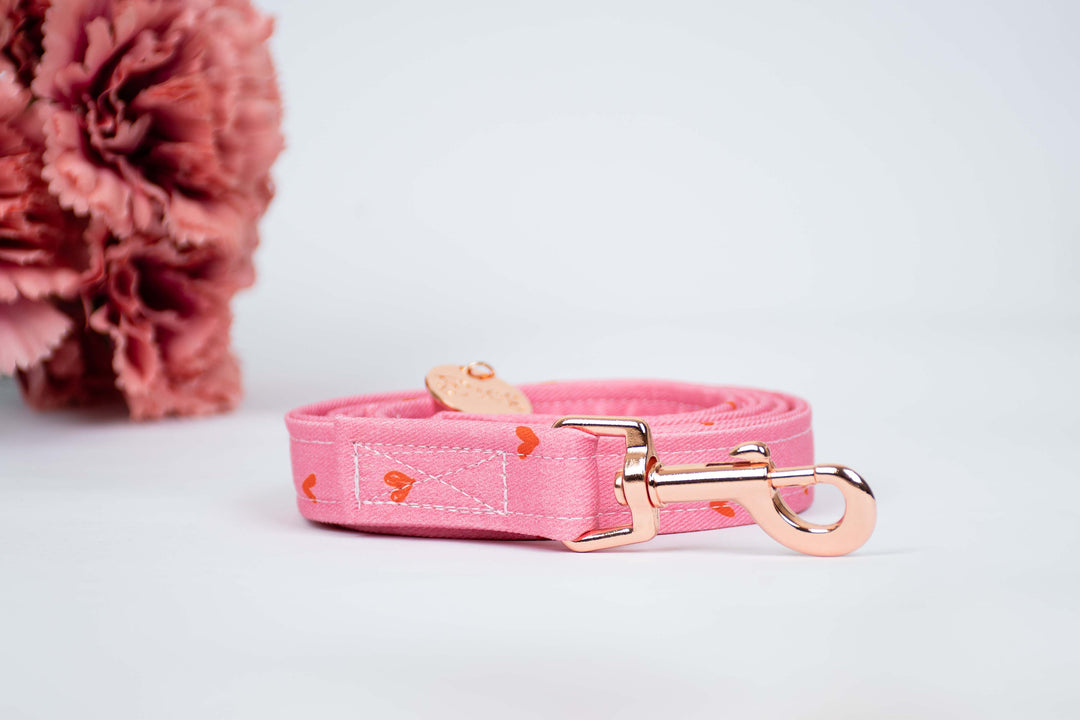 HEART PUNCH LEASH