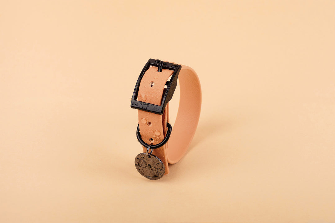 A brown waterproof dog collar with a black buckle.