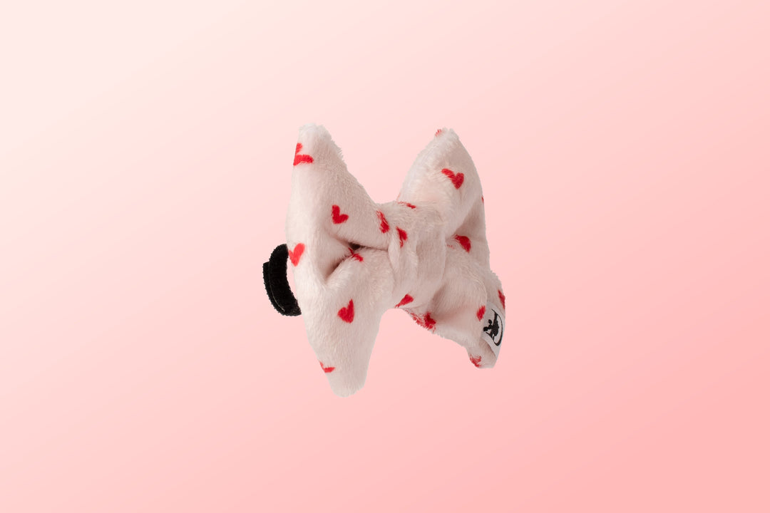 LOVE PLUSH VELVET BOW TIE