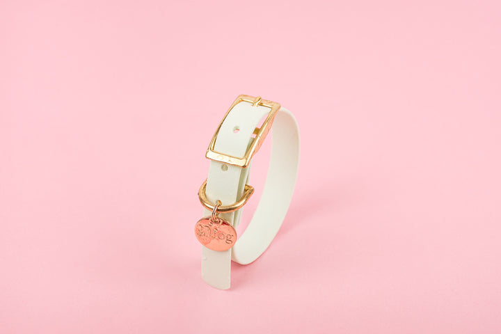 A light green waterproof dog collar with a gold buckle.