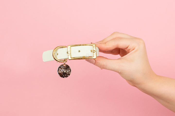 A person holding a light green waterproof dog collar with a gold buckle against a pink background.