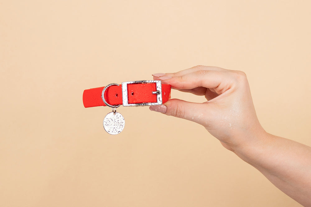 Image of a person holding a red waterproof dog collar with a black brand tag attached.