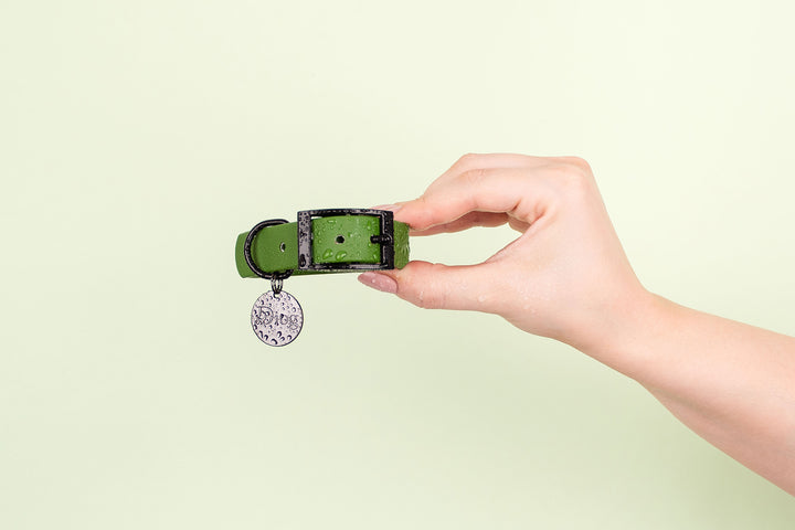 A close-up photo of a person holding an olive green waterproof dog collar with a black buckle.