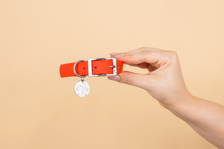 ORANGE WATERPROOF COLLAR