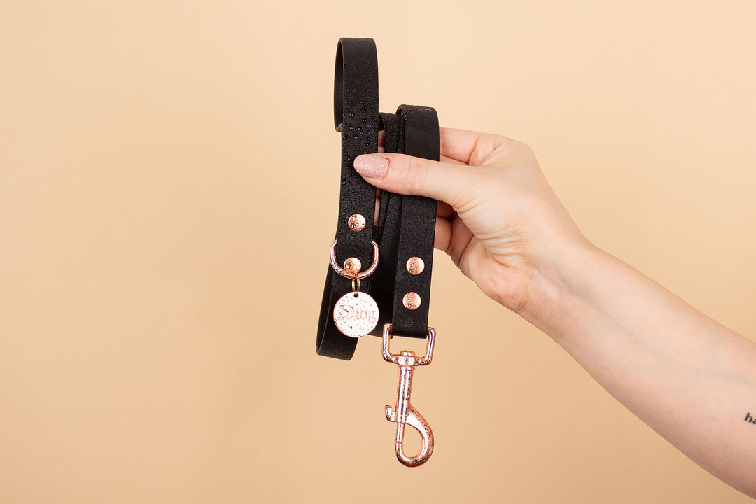 ORCA WATERPROOF LEASH