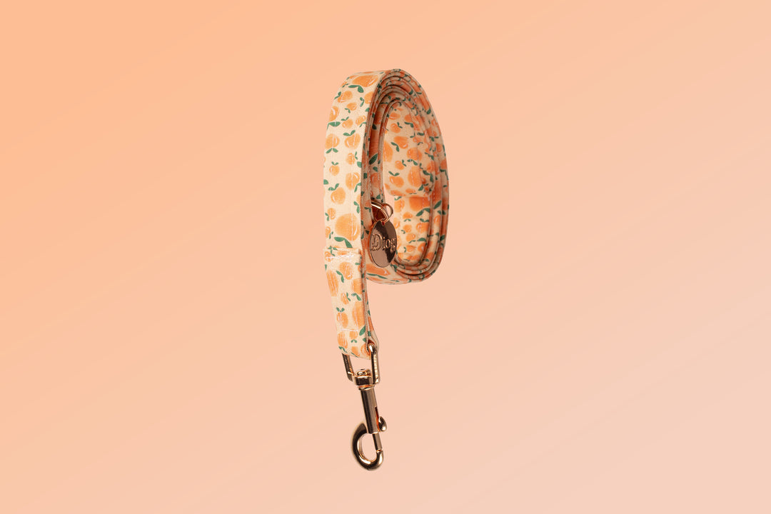 PEACHES LEASH