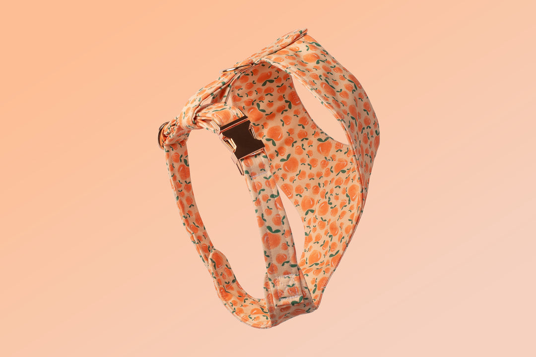 PEACHES CHEST HARNESS