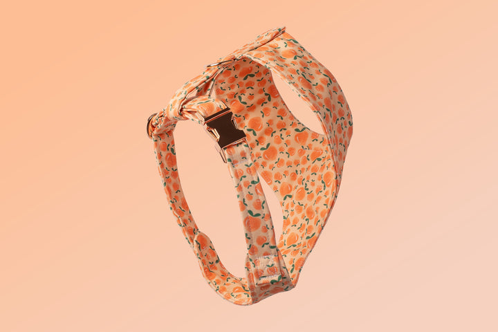 PEACHES CHEST HARNESS