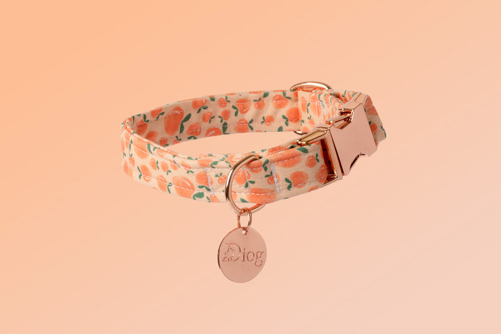 PEACHES COLLAR