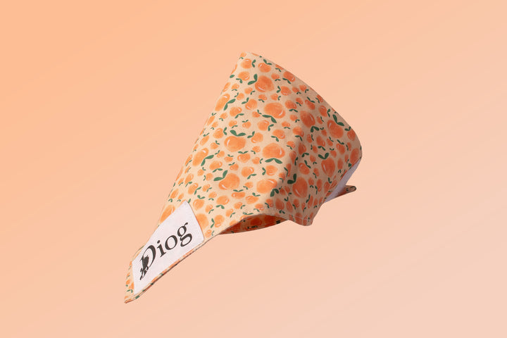 PEACHES RUTKA