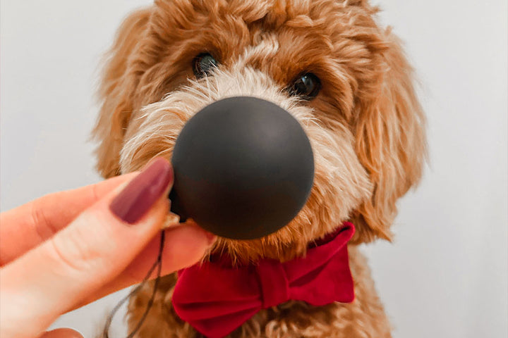 RED VELVET BOW TIE