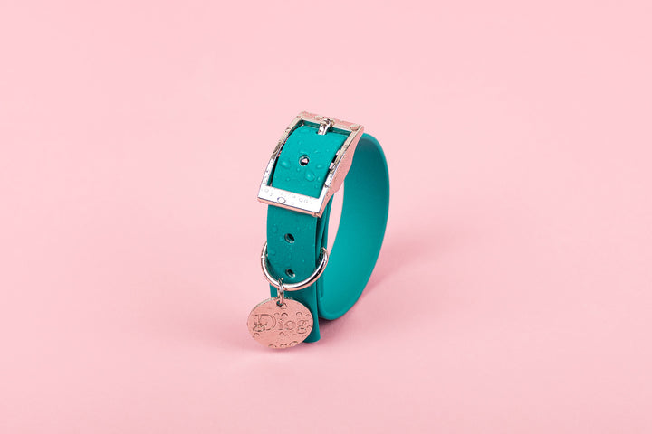 A green waterproof dog collar with a silver buckle.