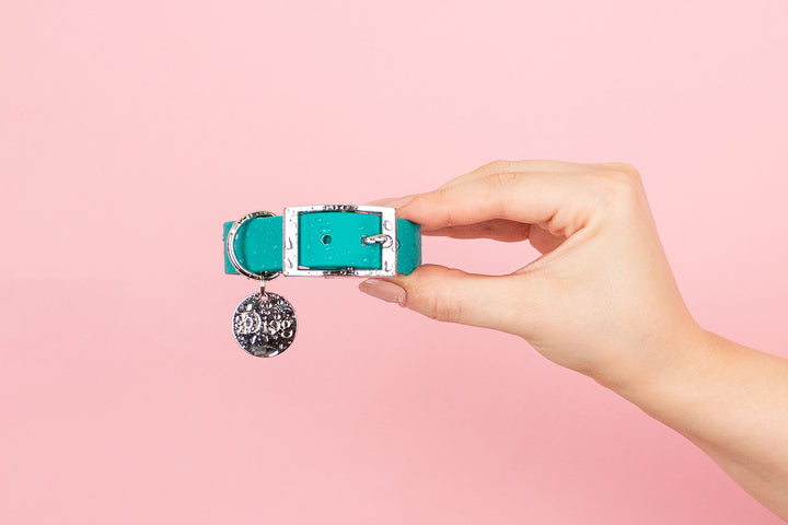 A person holding a green dog collar with a silver buckle against a pink background.