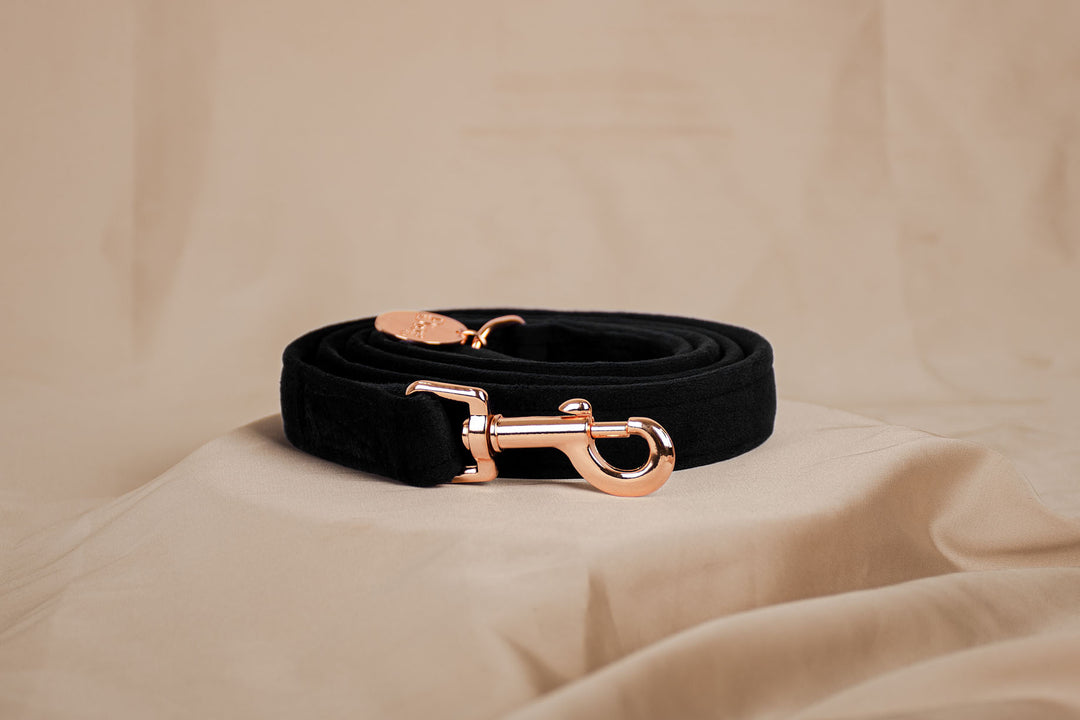 BLACK VELVET LEASH