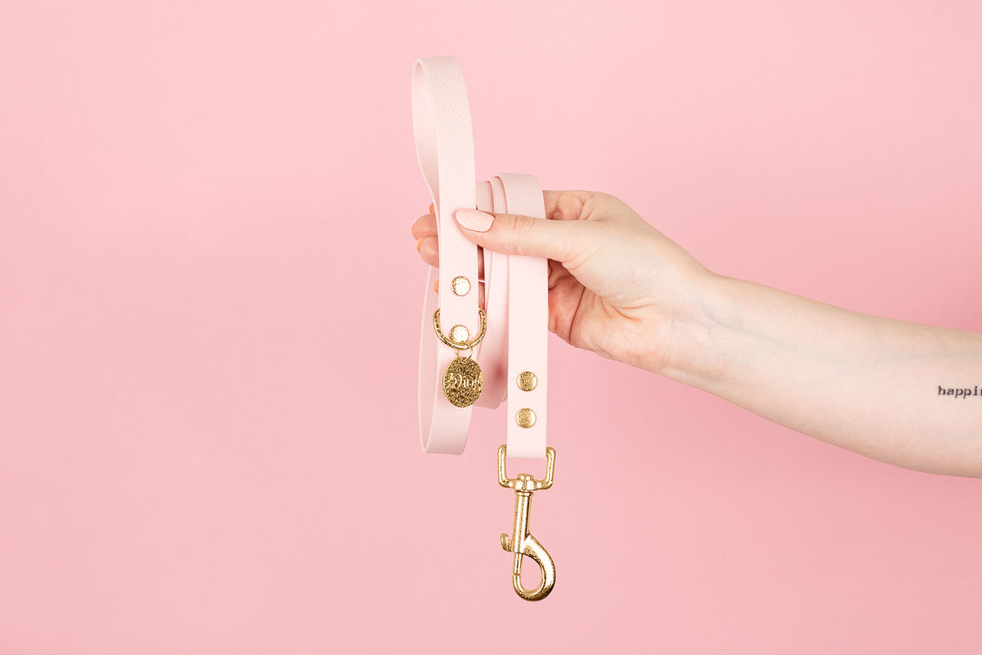 BUBBLEGUM WATERPROOF LEASH