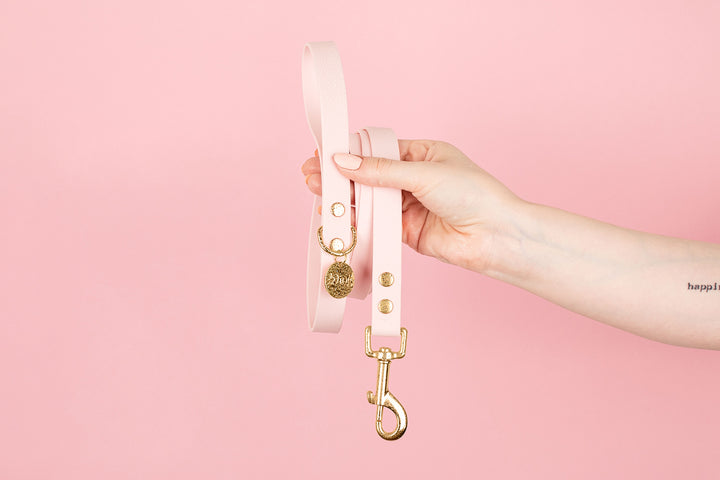 BUBBLEGUM WATERPROOF LEASH